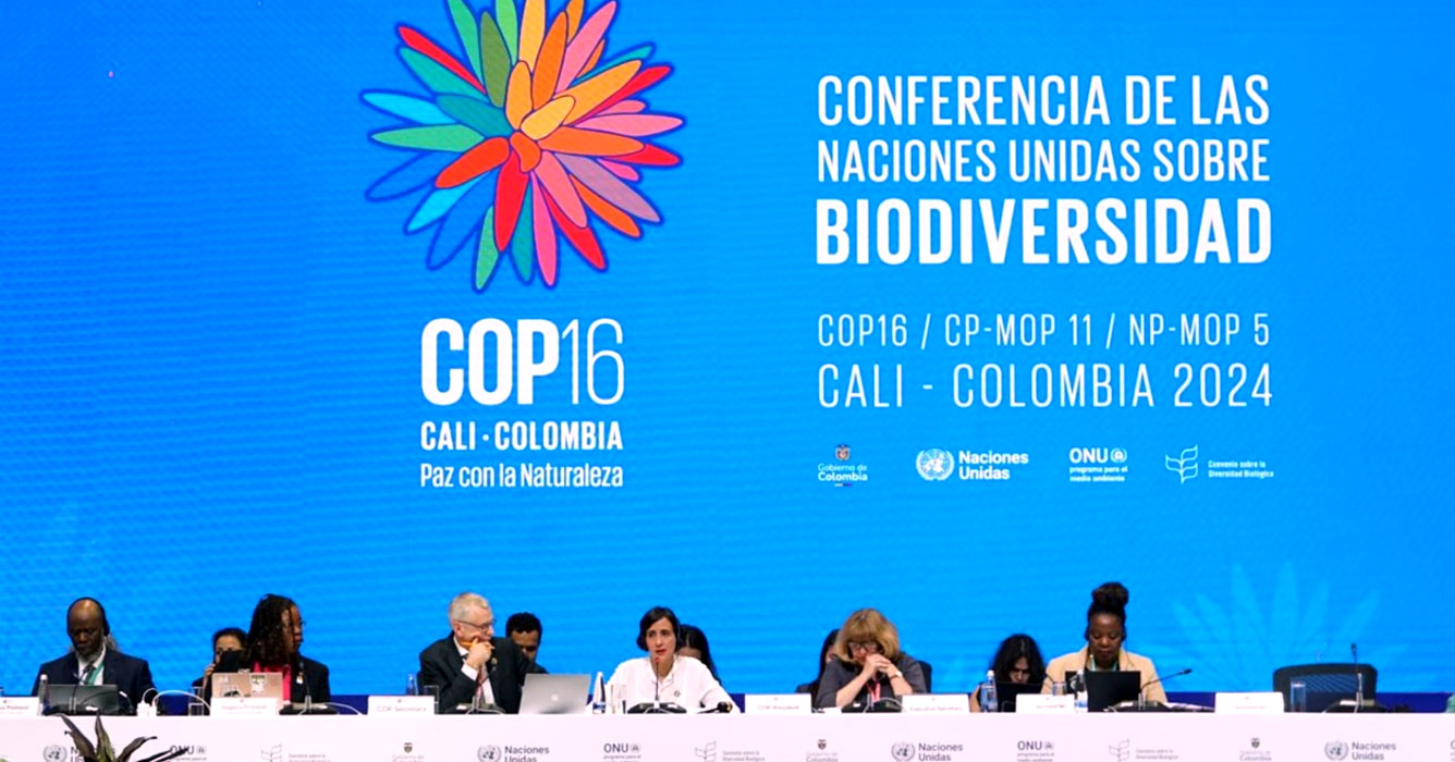 Nulla di fatto alla conferenza dell'Onu sulla biodiversità