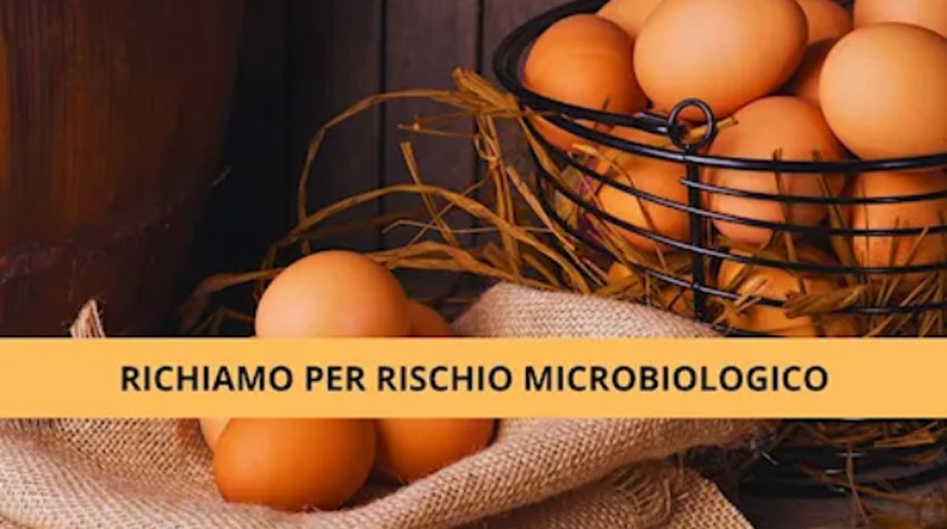 Allarme salmonella nelle uova dopo la scoperta di un focolaio in un allevamento nel Salento: ecco i lotti richiamati dal Ministero della Salute