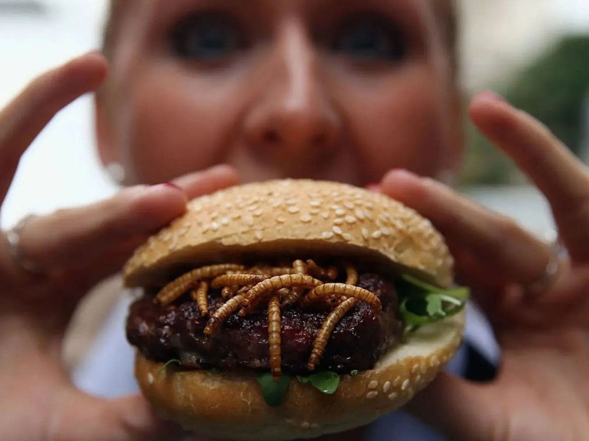 The novel food“: cibo o schifo del futuro?